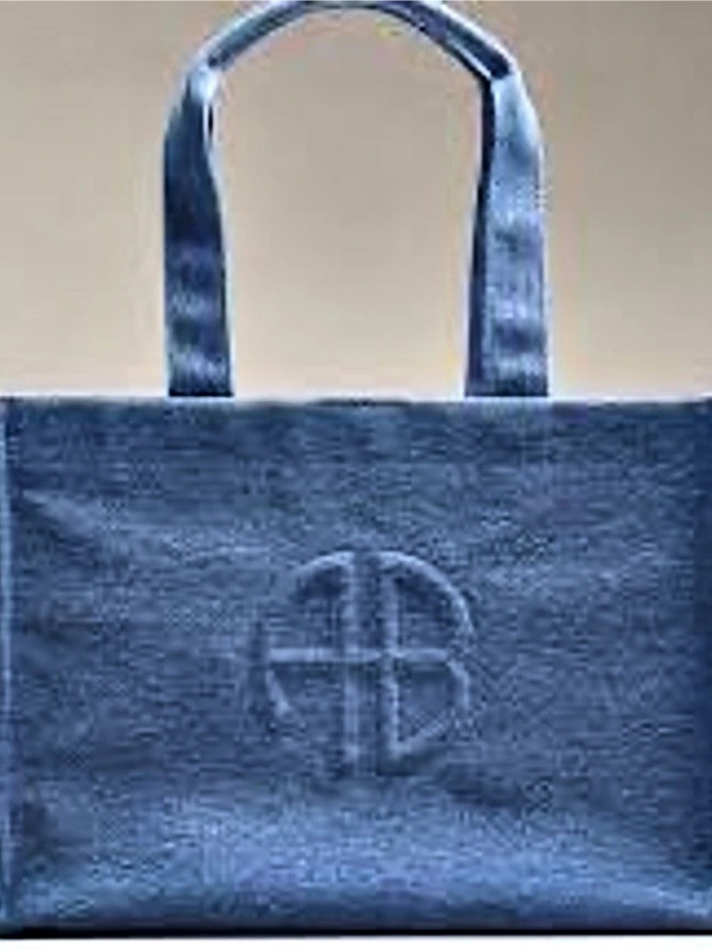 Anine Bing Lara Tote Cotton Bag in Blue